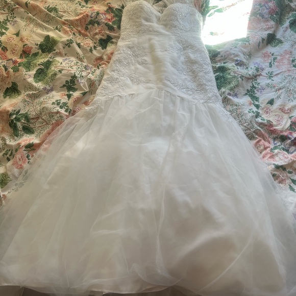 David’s Bridal - Picture 3 of 6